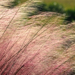 Designer Spotlight: Ryan Gutierrez | All Sorts Of